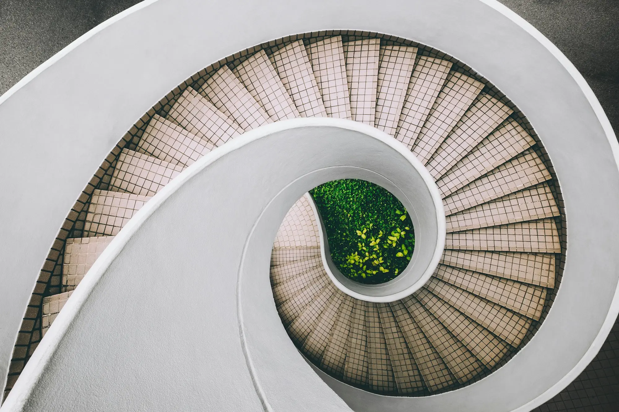 Escalier en colimaçon blanc, lignes d’architecture