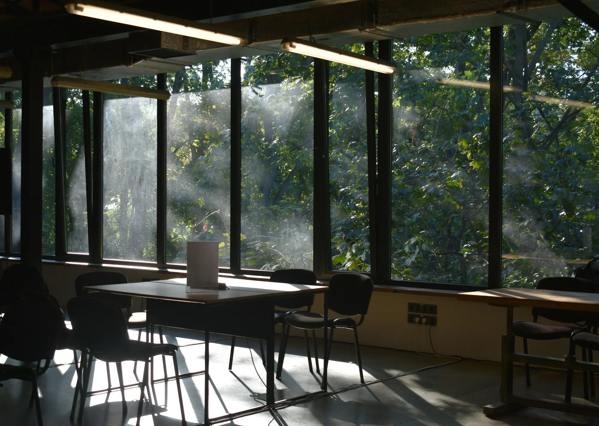 Bureau baigné de lumière naturelle